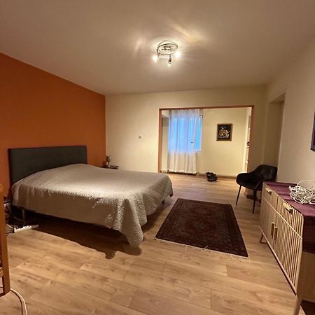 Bel Appartement En Rdc Proche Strasbourg Nice Apartment Very Near Στρασβούργο Εξωτερικό φωτογραφία