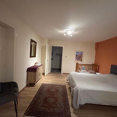 Bel Appartement En Rdc Proche Strasbourg Nice Apartment Very Near Στρασβούργο Εξωτερικό φωτογραφία