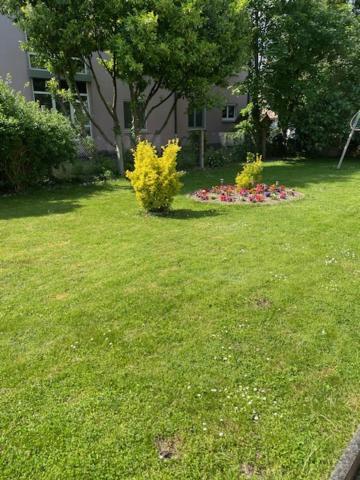 Bel Appartement En Rdc Proche Strasbourg Nice Apartment Very Near Στρασβούργο Εξωτερικό φωτογραφία